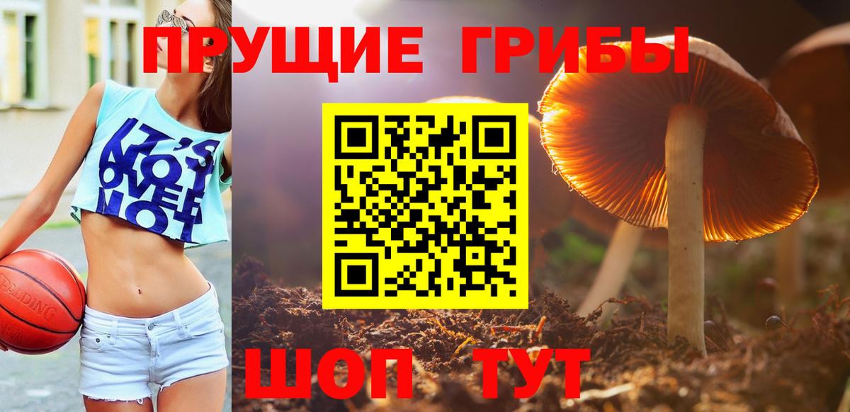 Галлюциногенные грибы MAGIC MUSHROOMS  Вход с VPN  Миасс 