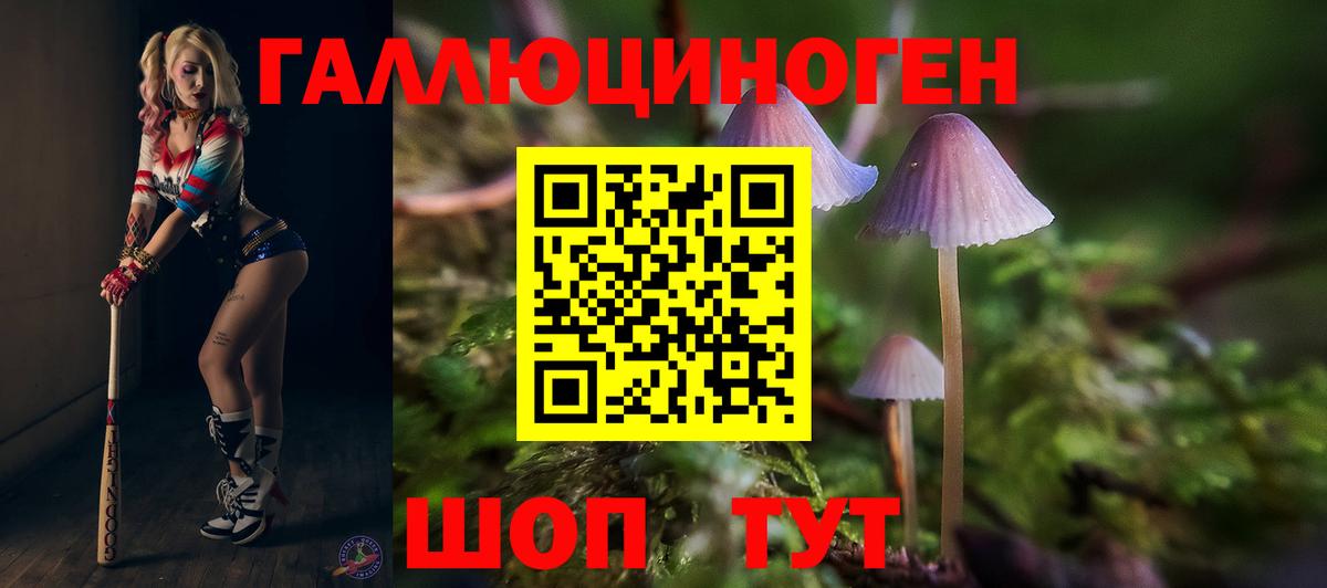Галлюциногенные грибы прущие грибы Миасс